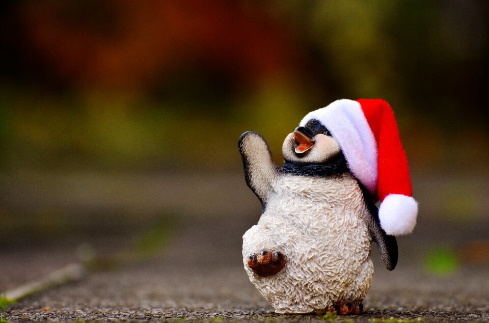Santa hat decoration funny