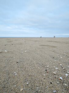Bathing beach shells winter sea