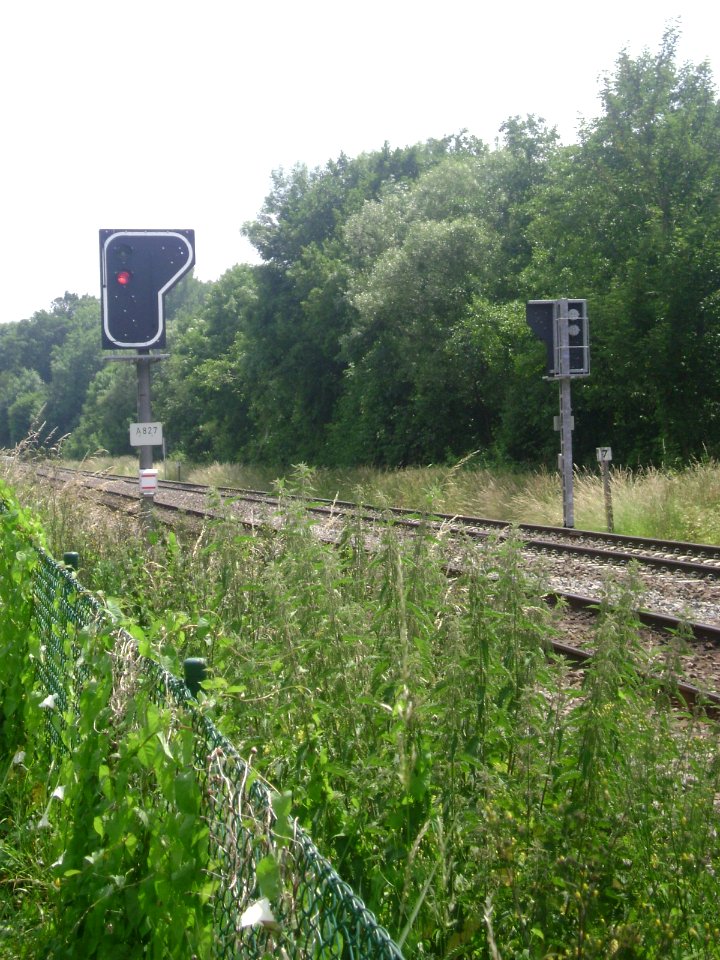 Ligne 132 (Infrabel) après Berzée en direction de Walcourt