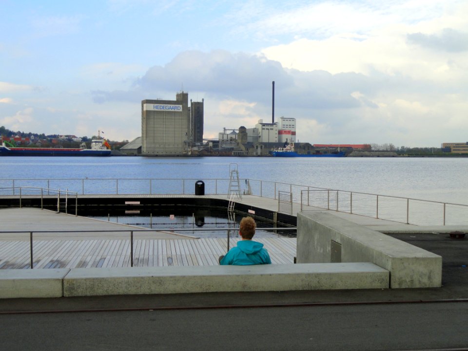 Limfjorden at Aalborg - DSC08499