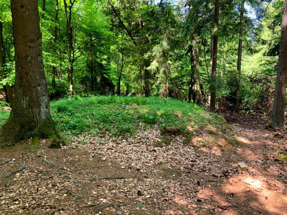 Limeswachturm Wp 3-43