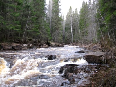 Liimanninkoski 1