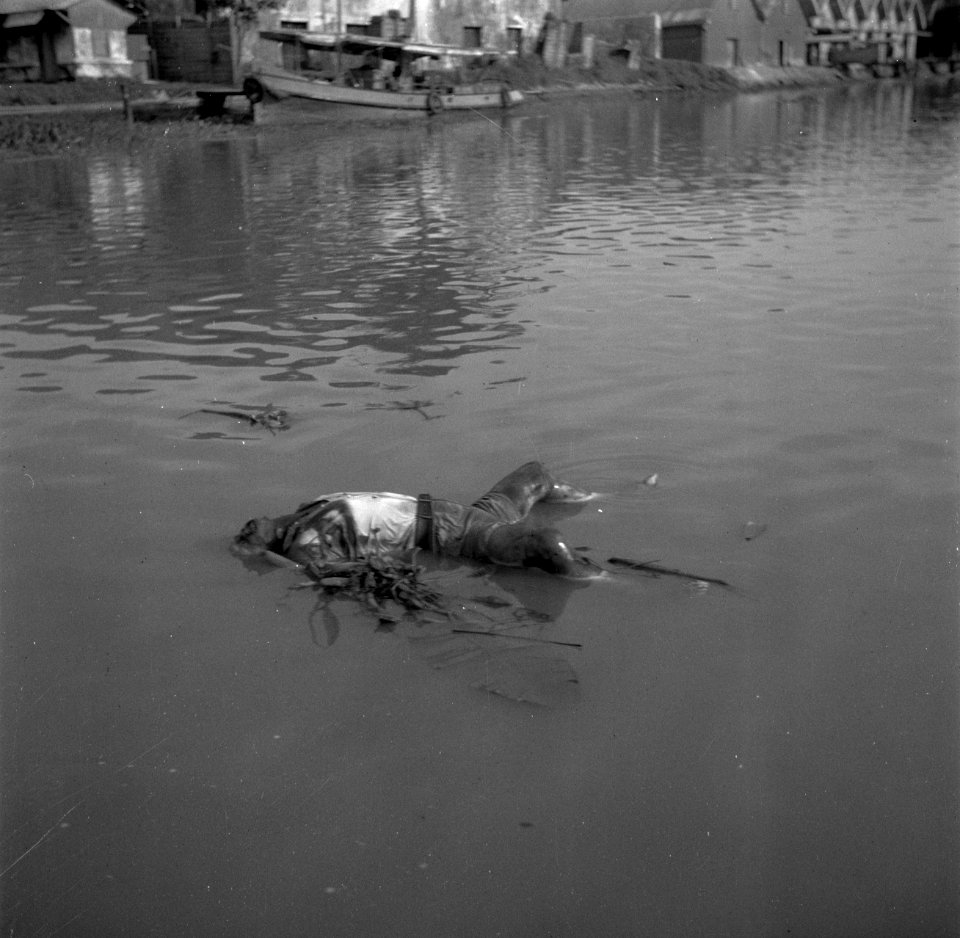 Lijk in het water, Bestanddeelnr 254-5354