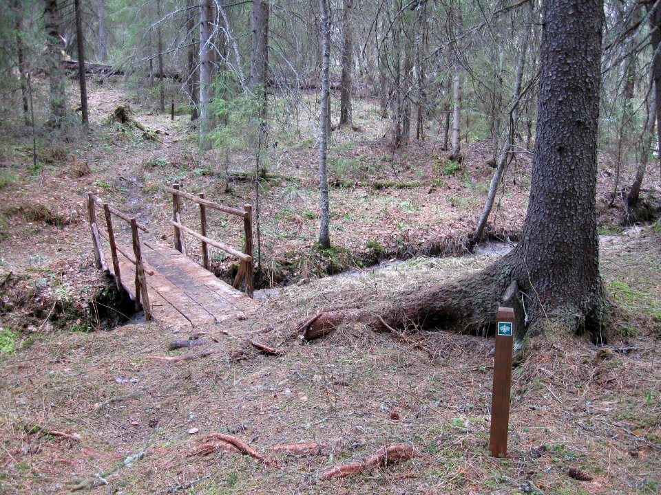 Liimanninkoski 2