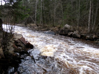 Liimanninkoski 3