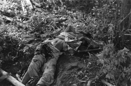 Lijk van een gedode TNI-militair of Republikeinse strijder rechts lijkt een knu, Bestanddeelnr 7432