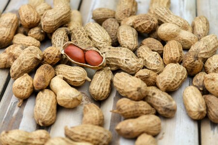 Diet dry macro
