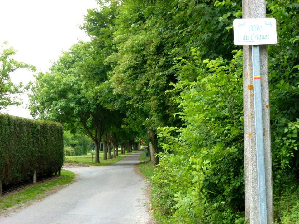 Liettres (Pas-de-Calais) ancien chemin de fer et terrain historique du Criquet