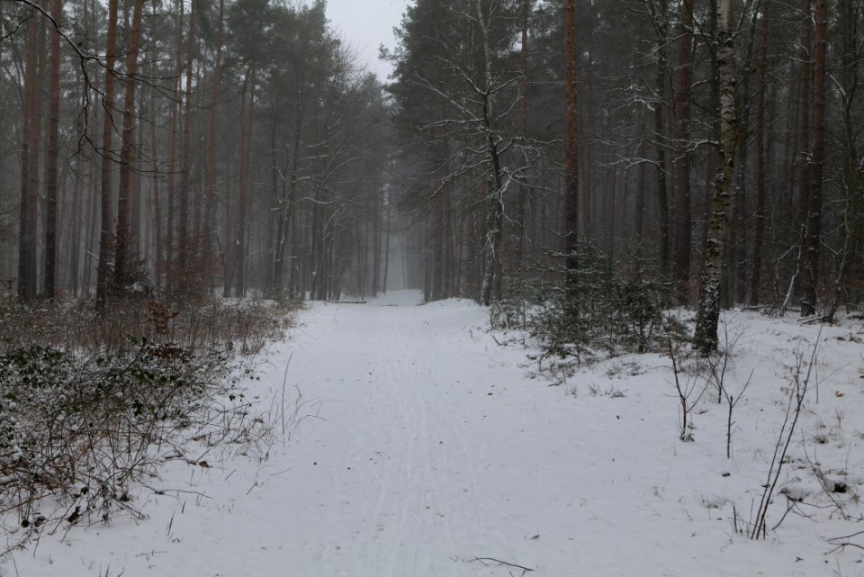 Lienewitz-Caputher Seen- und Feuchtgebietskette with snow 2021-02-07 43