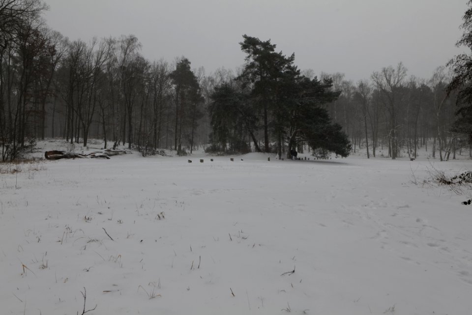 Lienewitz-Caputher Seen- und Feuchtgebietskette with snow 2021-02-07 31