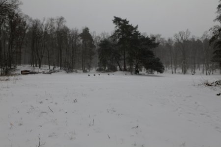 Lienewitz-Caputher Seen- und Feuchtgebietskette with snow 2021-02-07 31
