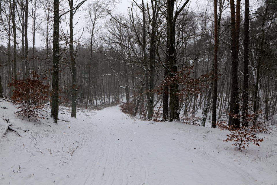 Lienewitz-Caputher Seen- und Feuchtgebietskette with snow 2021-02-07 36