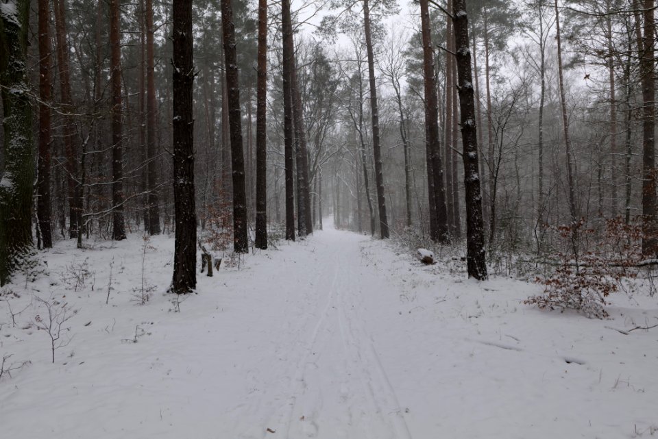 Lienewitz-Caputher Seen- und Feuchtgebietskette with snow 2021-02-07 57