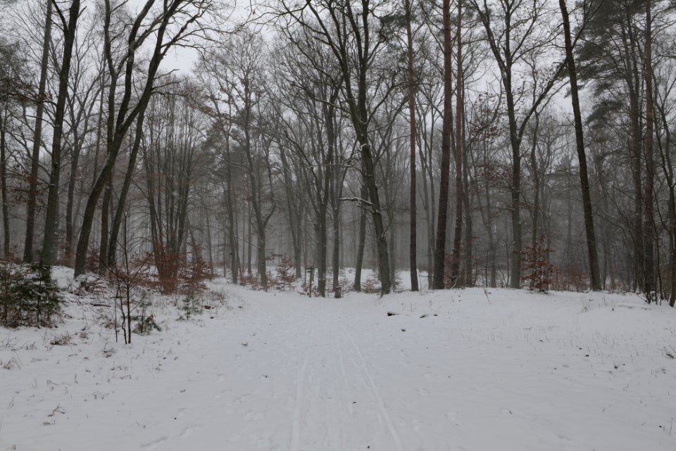 Lienewitz-Caputher Seen- und Feuchtgebietskette with snow 2021-02-07 54