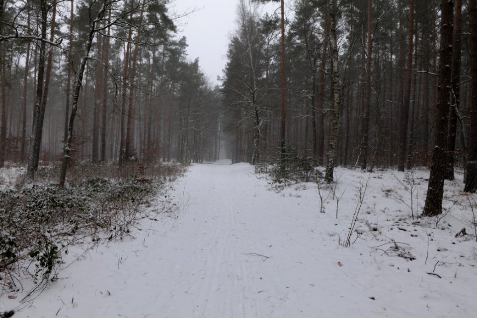 Lienewitz-Caputher Seen- und Feuchtgebietskette with snow 2021-02-07 42