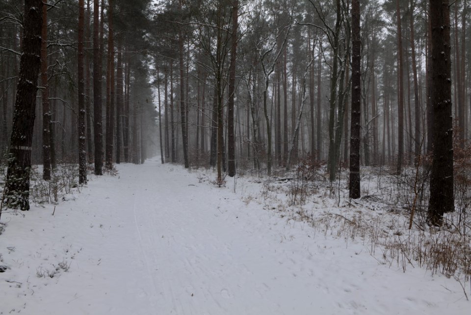 Lienewitz-Caputher Seen- und Feuchtgebietskette with snow 2021-02-07 48