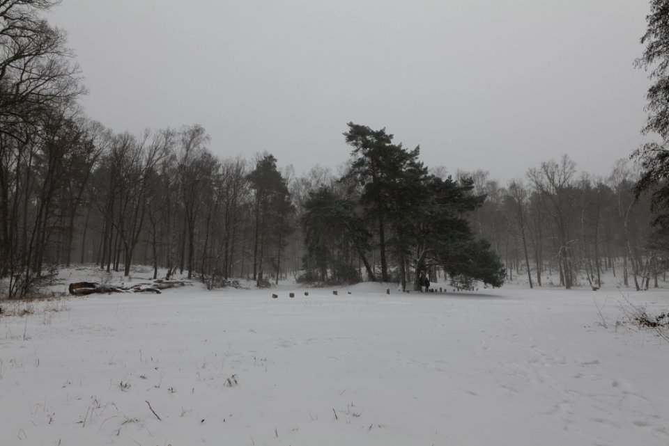 Lienewitz-Caputher Seen- und Feuchtgebietskette with snow 2021-02-07 30