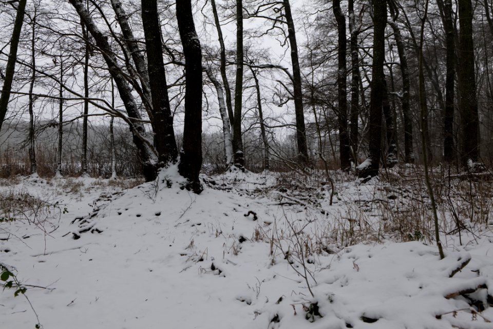 Lienewitz-Caputher Seen- und Feuchtgebietskette with snow 2021-02-07 14