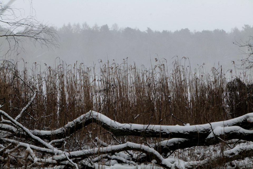 Lienewitz-Caputher Seen- und Feuchtgebietskette with snow 2021-02-07 28