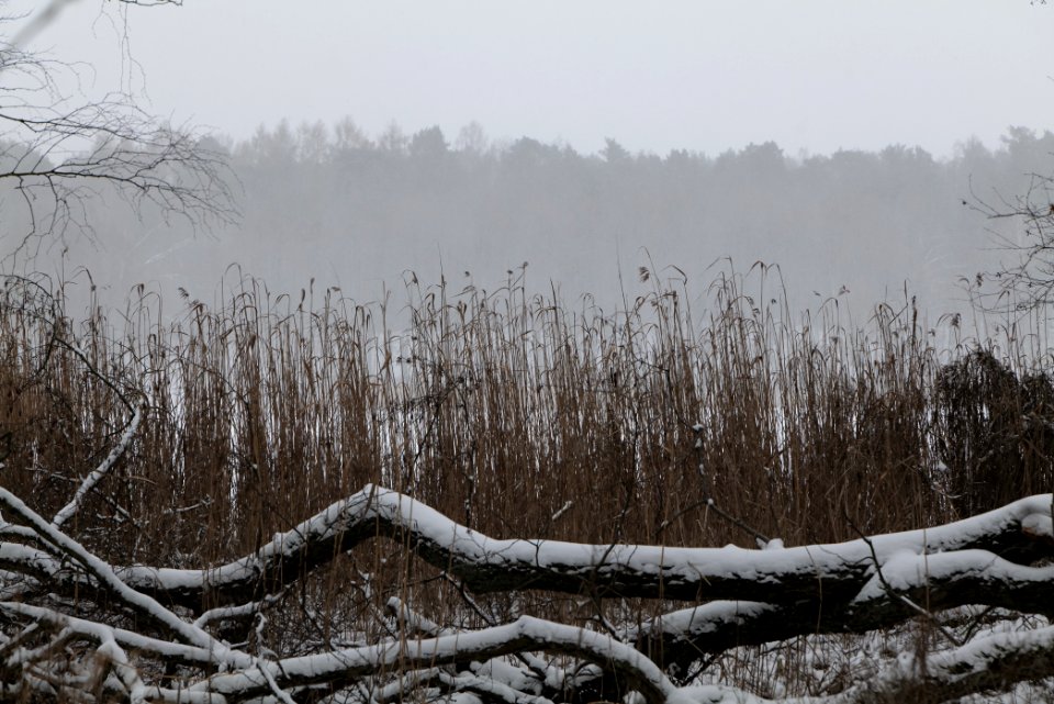 Lienewitz-Caputher Seen- und Feuchtgebietskette with snow 2021-02-07 27