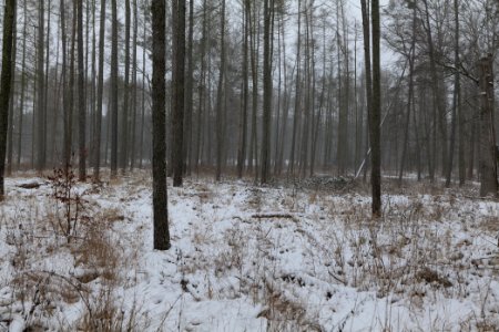 Lienewitz-Caputher Seen- und Feuchtgebietskette with snow 2021-02-07 21
