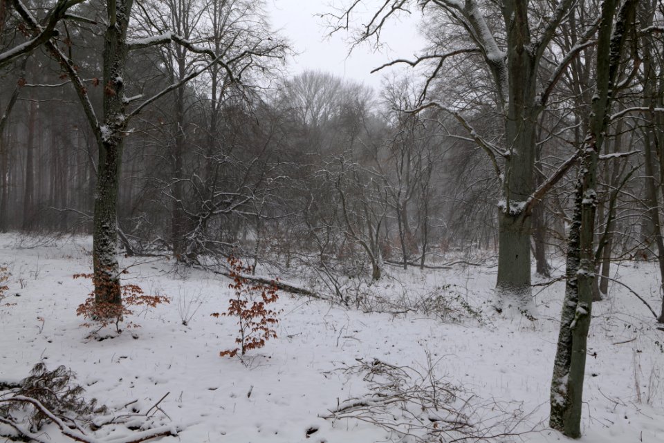 Lienewitz-Caputher Seen- und Feuchtgebietskette with snow 2021-02-07 60