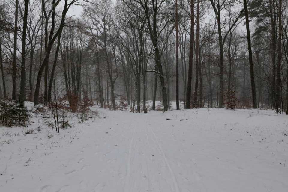 Lienewitz-Caputher Seen- und Feuchtgebietskette with snow 2021-02-07 53