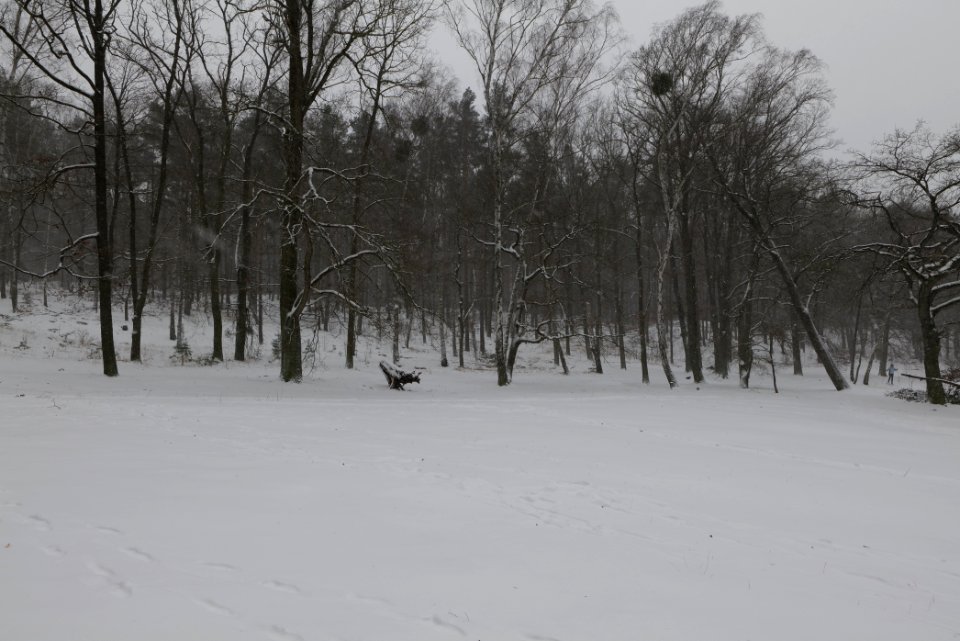 Lienewitz-Caputher Seen- und Feuchtgebietskette with snow 2021-02-07 33