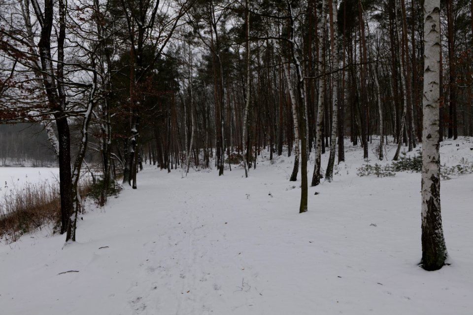 Lienewitz-Caputher Seen- und Feuchtgebietskette with snow 2021-02-07 03