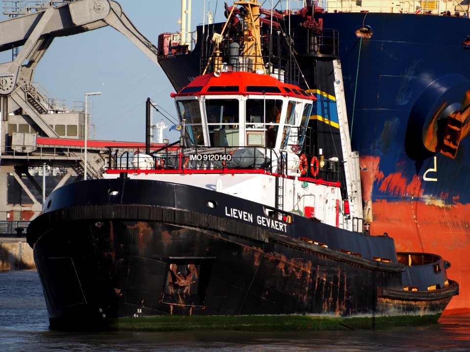Lieven Gevaert (tugboat, 1995) - IMO 9120140, Leopoldlock, Port of Antwerp, pic8