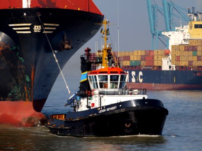 Lieven Gevaert IMO 9120140 at Antwerp, Belgium