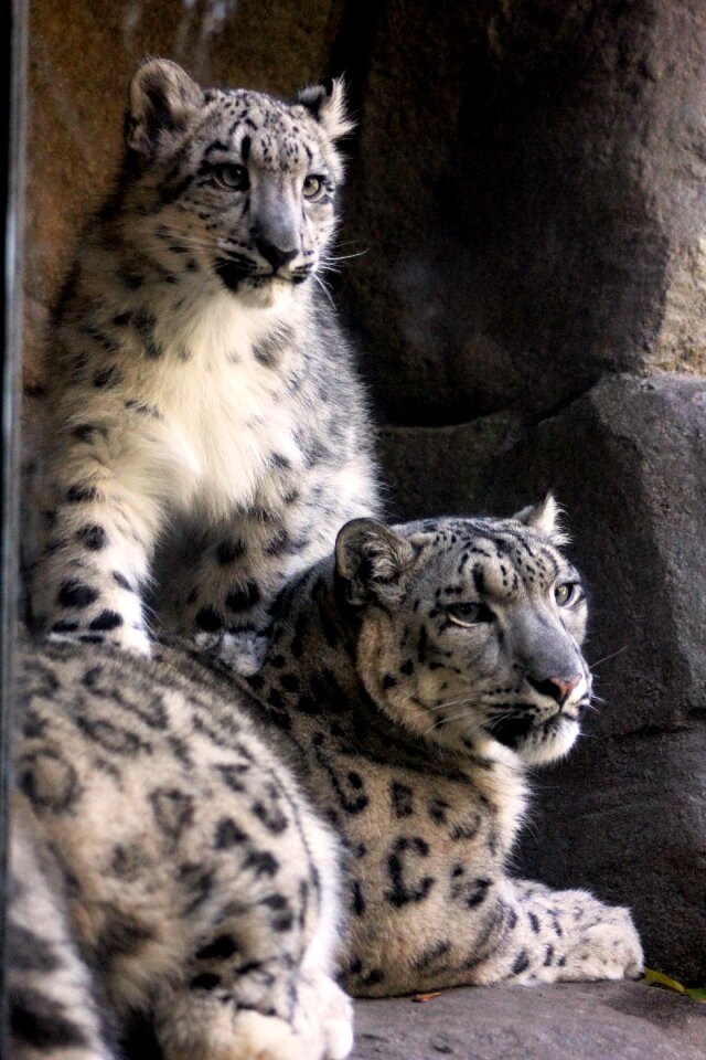 Mother nature cute