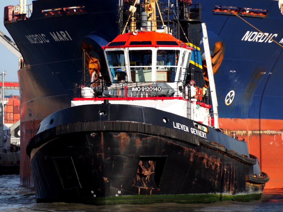 Lieven Gevaert (tugboat, 1995) - IMO 9120140, Leopoldlock, Port of Antwerp, pic7