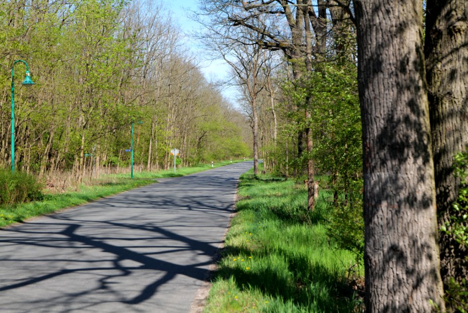 Lindenbrücker Weg Chaussee Wünsdorf 2021-05-09 08