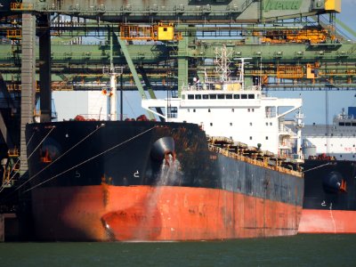 Lila Shanghai (ship, 2011) IMO 9541318, Mississippihaven pic3