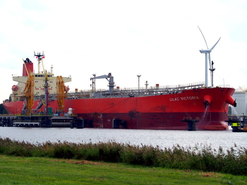 Lilac Victoria - IMO 9589815, Afrikahaven, Port of Amsterdam pic1