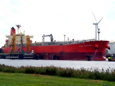 Lilac Victoria - IMO 9589815, Afrikahaven, Port of Amsterdam pic1