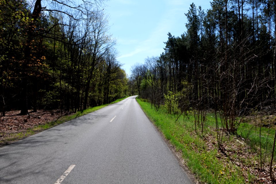 Lindenbrücker Weg Chaussee Wünsdorf 2021-05-09 03