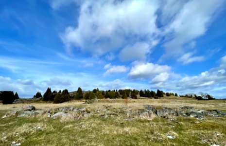 Lindbacke naturreservat