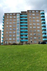 Lincoln Green 2019-07-18 (8)