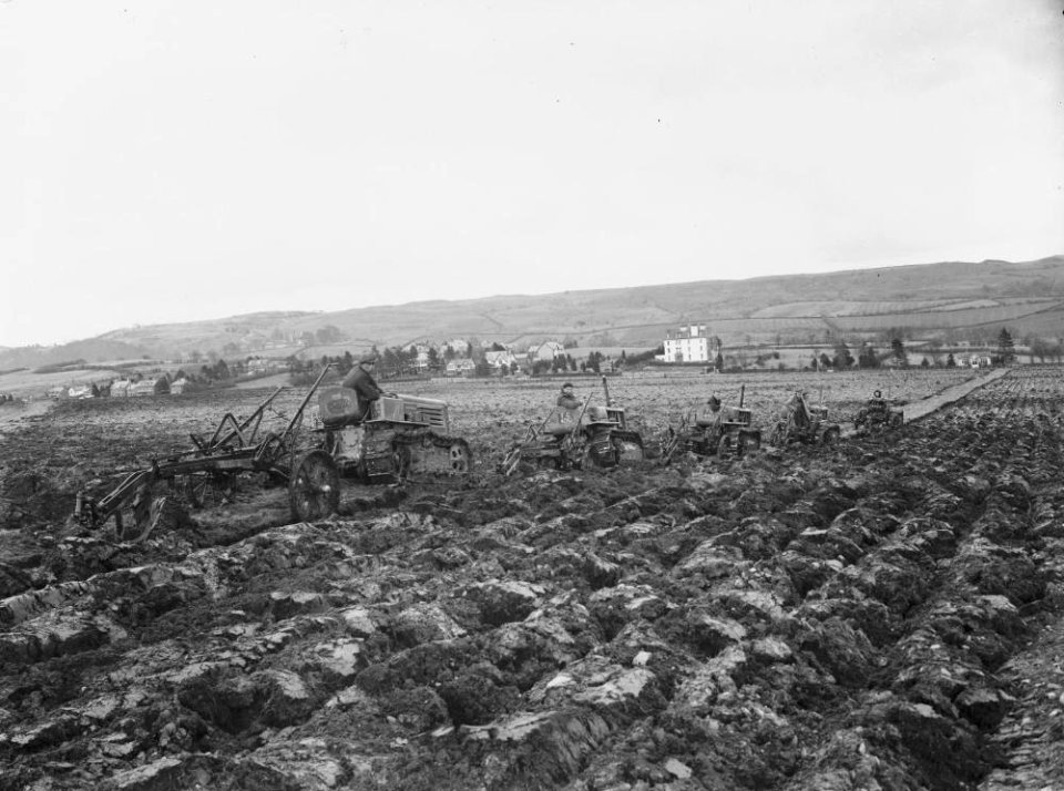 Line of tractors ploughing (1293599)