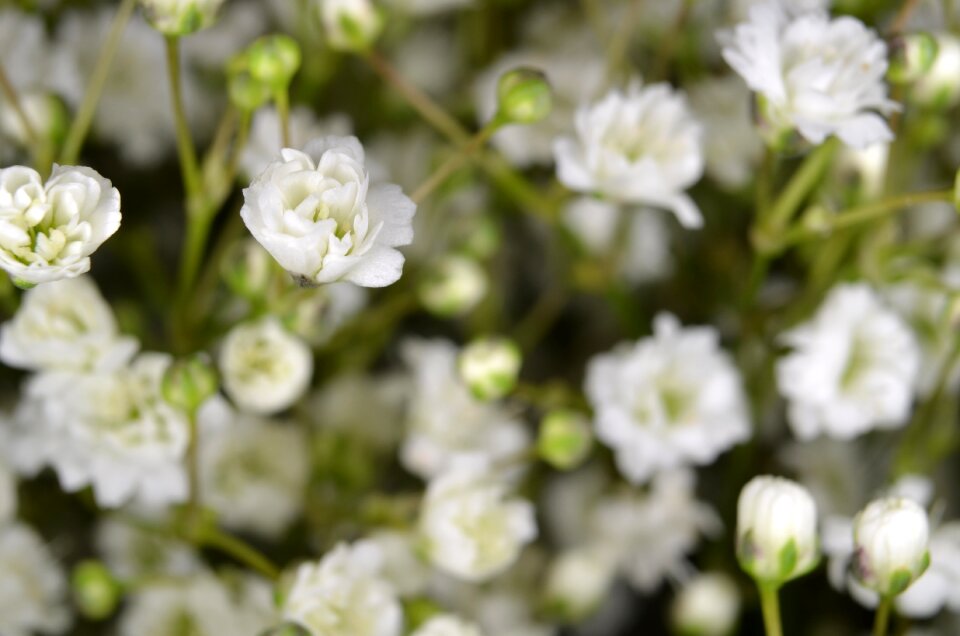 Accessories tender florist