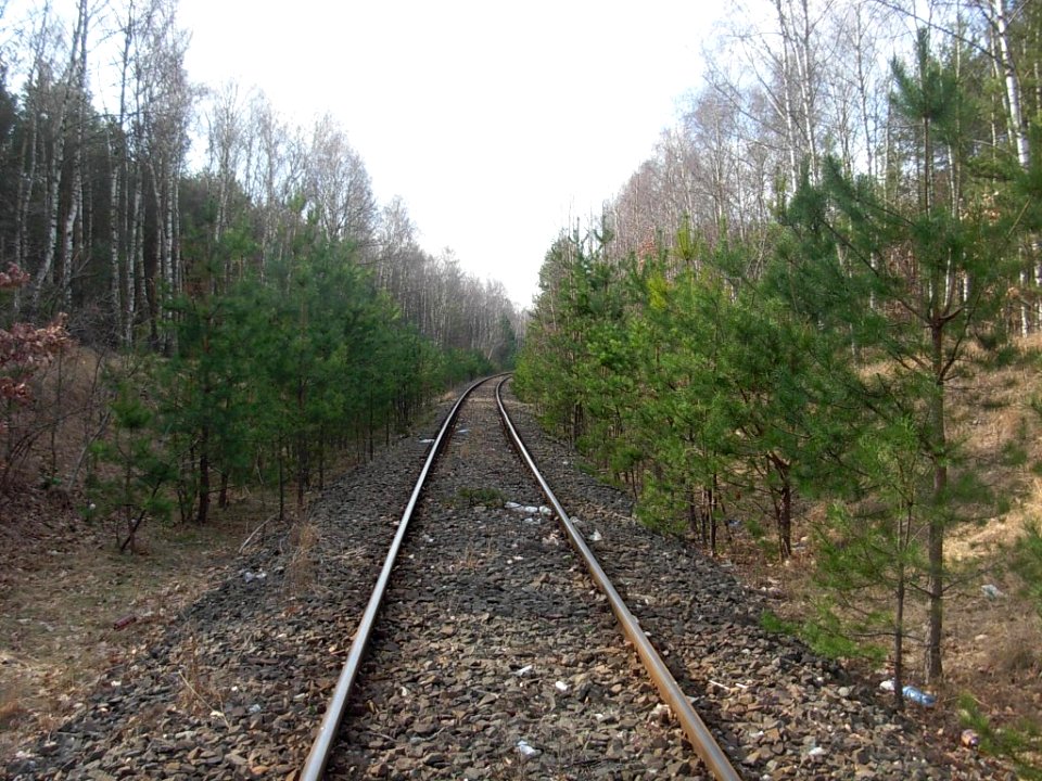 Linia kolejowa nr 356 Bdg-Pzn na Błoniu