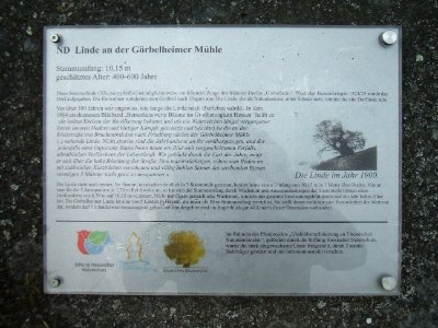 Linde Görbelheim Tafel