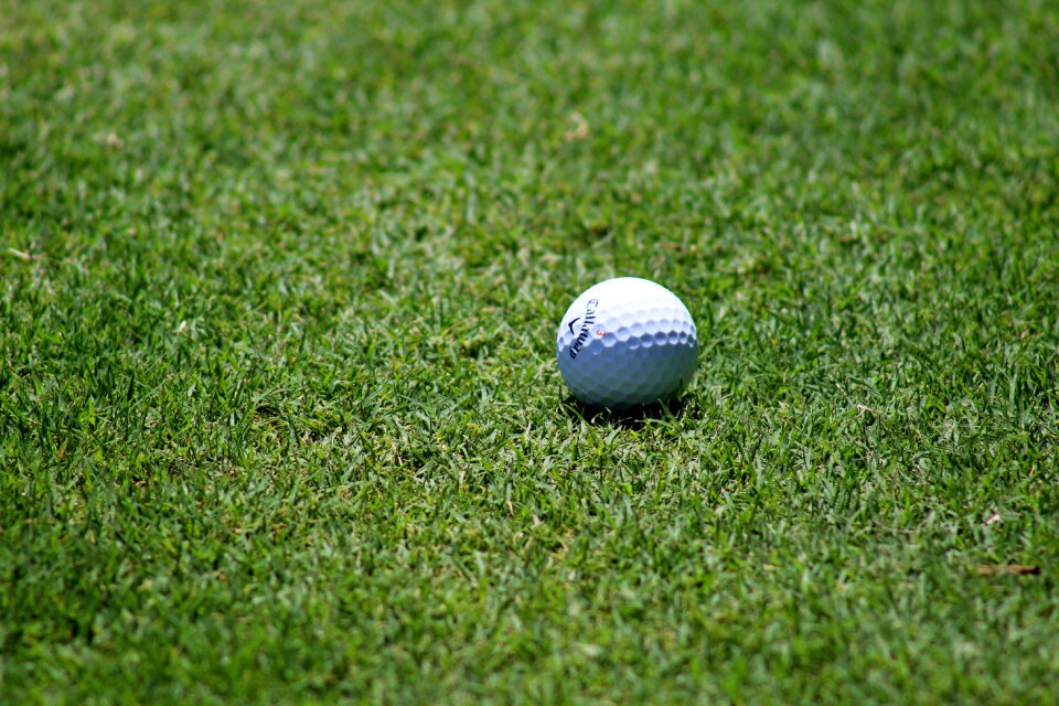 Golf ball grass sports