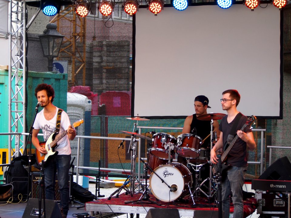 Line Walking Elephant (Live-Talente 2014) (12)