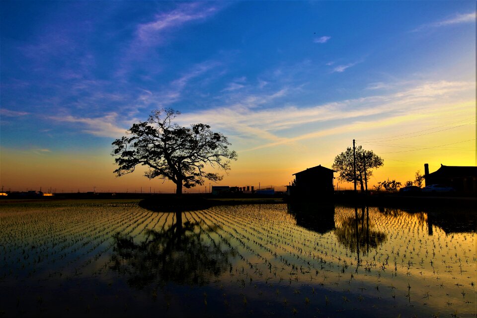 In the evening silhouette landscape