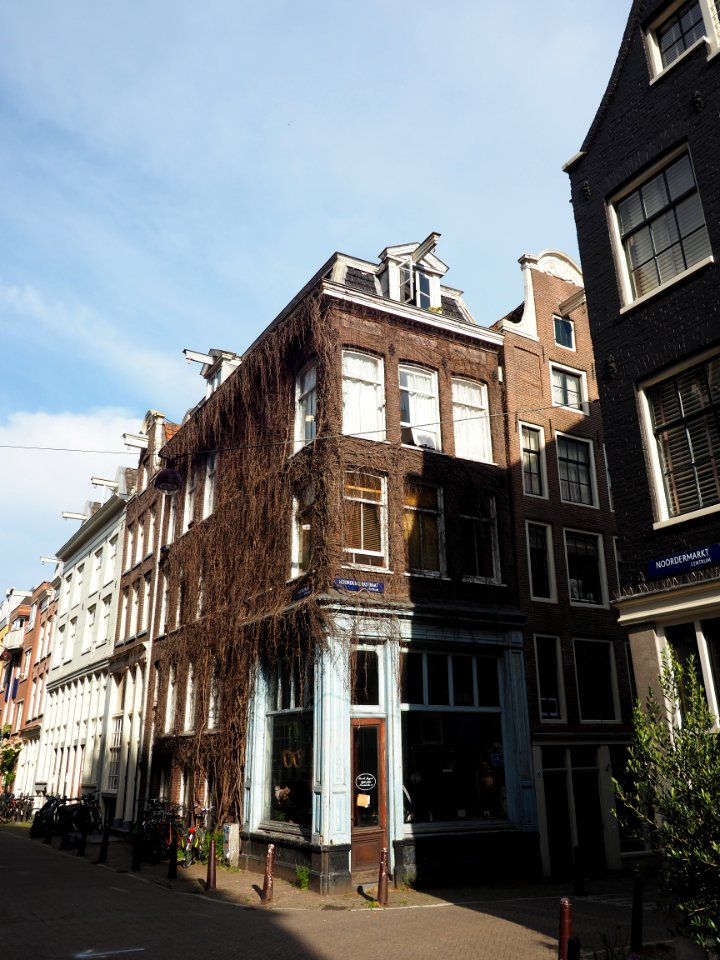 Lindestraat hoek Noorderkerkstraat foto 1