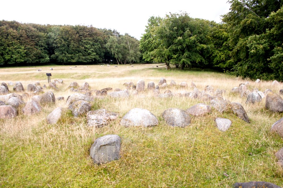 Lindholm Höje 2015-07-28-12