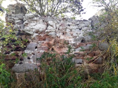 Lindeschu - 6